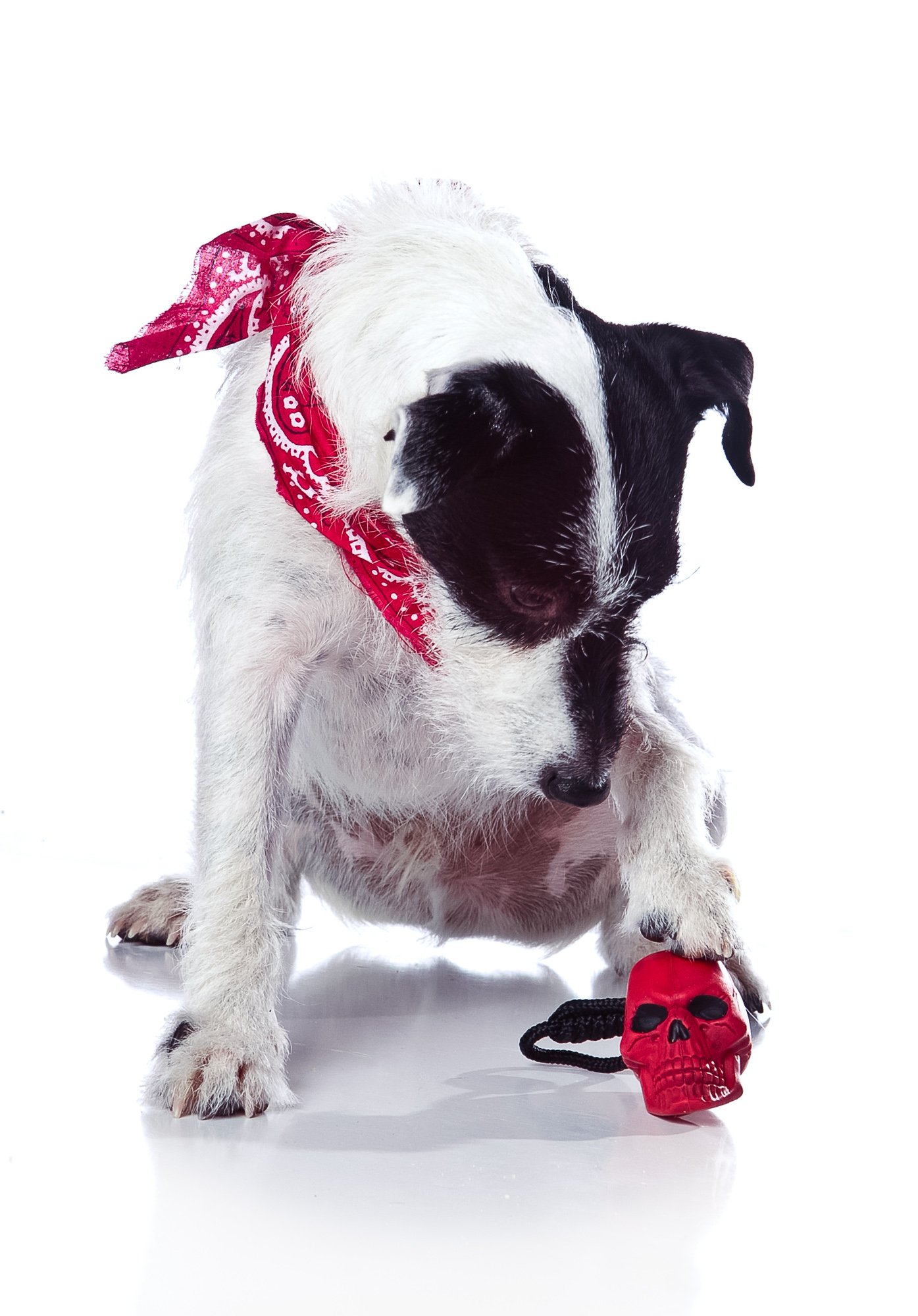 Tuffy Rugged Rubber Skull, Extra Small, Red