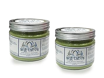 Buy Ang Tatva 100 Pure Natural Organic Hair Color Kit For All
