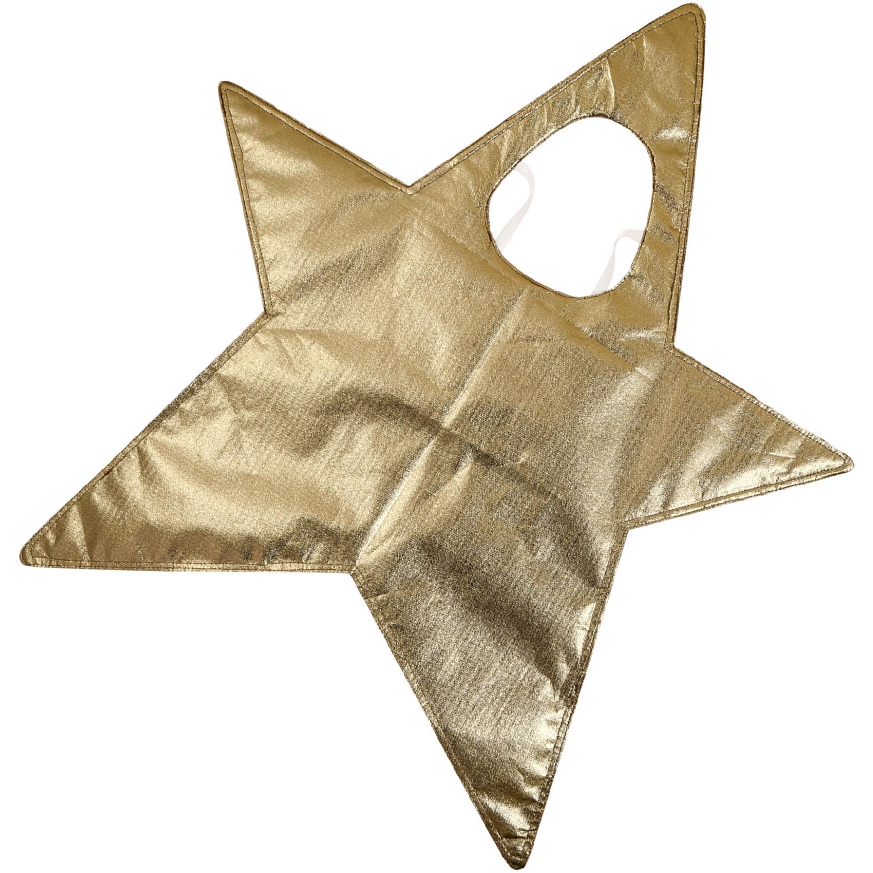 A2Z 4 Kids Girls Boys Nativity Camel Christmas Costume Outfit - AZ1001 Star Costume Gold_One Size