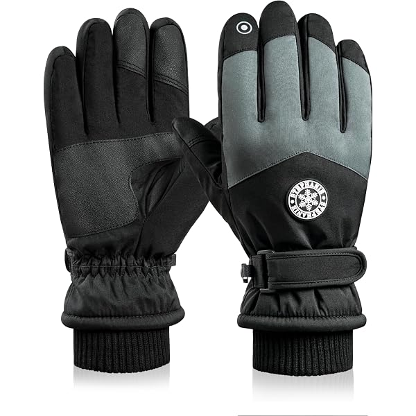 Amazon.com : Hestra Unisex Heater Gauntlet 5-Finger Gloves