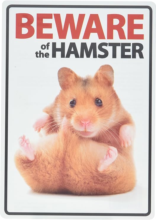 things needed for a hamster