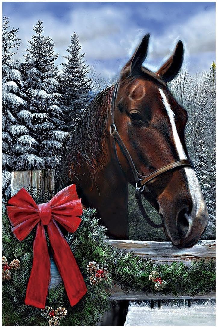 Amazon.com : Decorative Custom Flag Handsome Horse Merry Christmas