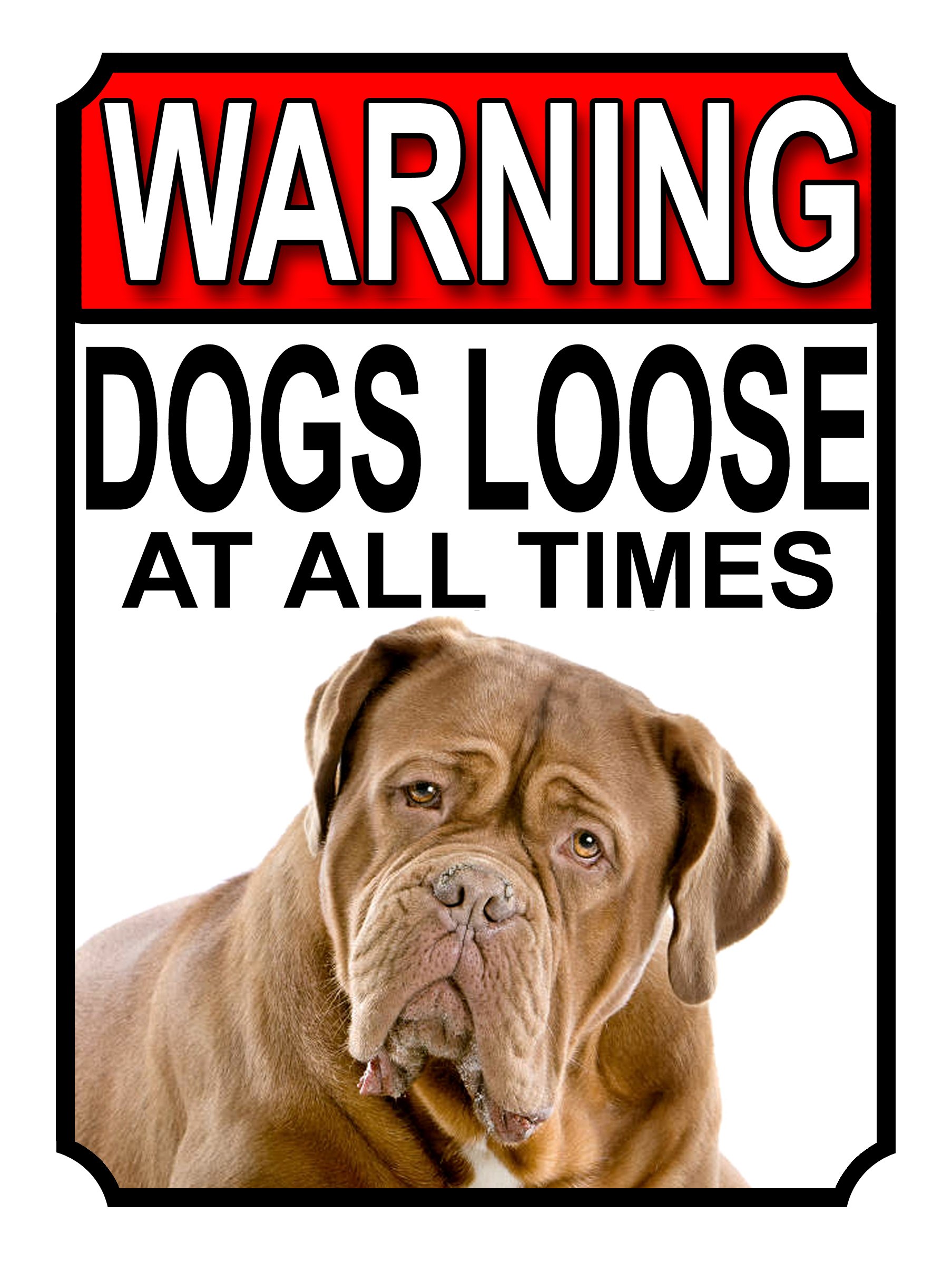 SHAWPRINT WARNING DOGS LOOSE AT ALL TIMES METAL GATE SIGN DOGUE-DE-BORDEAUX 200MM X 150MM (1263H1) โ image 1