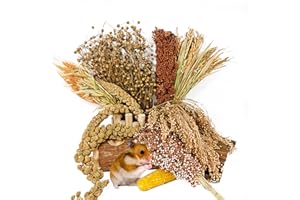 ACSIST Natural Hamster Flower & Herb Habitat Deocr, Hamster Sprays Herbs Bedding Mate, Hamsters Cage Enrichment Decoration Accessories for Gerbil Dwarf Syrian Hamsters Mouse Guinea Pig Mice or Small Animals