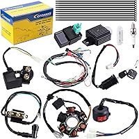 Complete Electrics Wiring Harness Coil Stator Solenoid Relay CDI Spark Plug for 4 Wheelers Stroke ATV 50cc 70cc 90cc 110cc 12