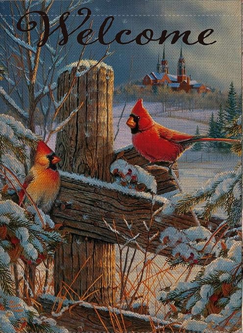 Selmad Home Deko Weihnachten Kardinal Garten Flagge Winter Vogel Doppelseitig Willkommen Zitat Haus Hofflagge Weihnachten Outdoor Jahr Garten Dekoration Vintage Schnee Urlaub Jahreszeit Outdoor Flagge 12 X 18 Amazon De Garten