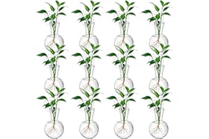 HCEWSBFD 12Pcs Window Propagation Stations Bulb Glass Vases with Suckion Cups Hooks Hydroponics Plant Propagation Vases No Na