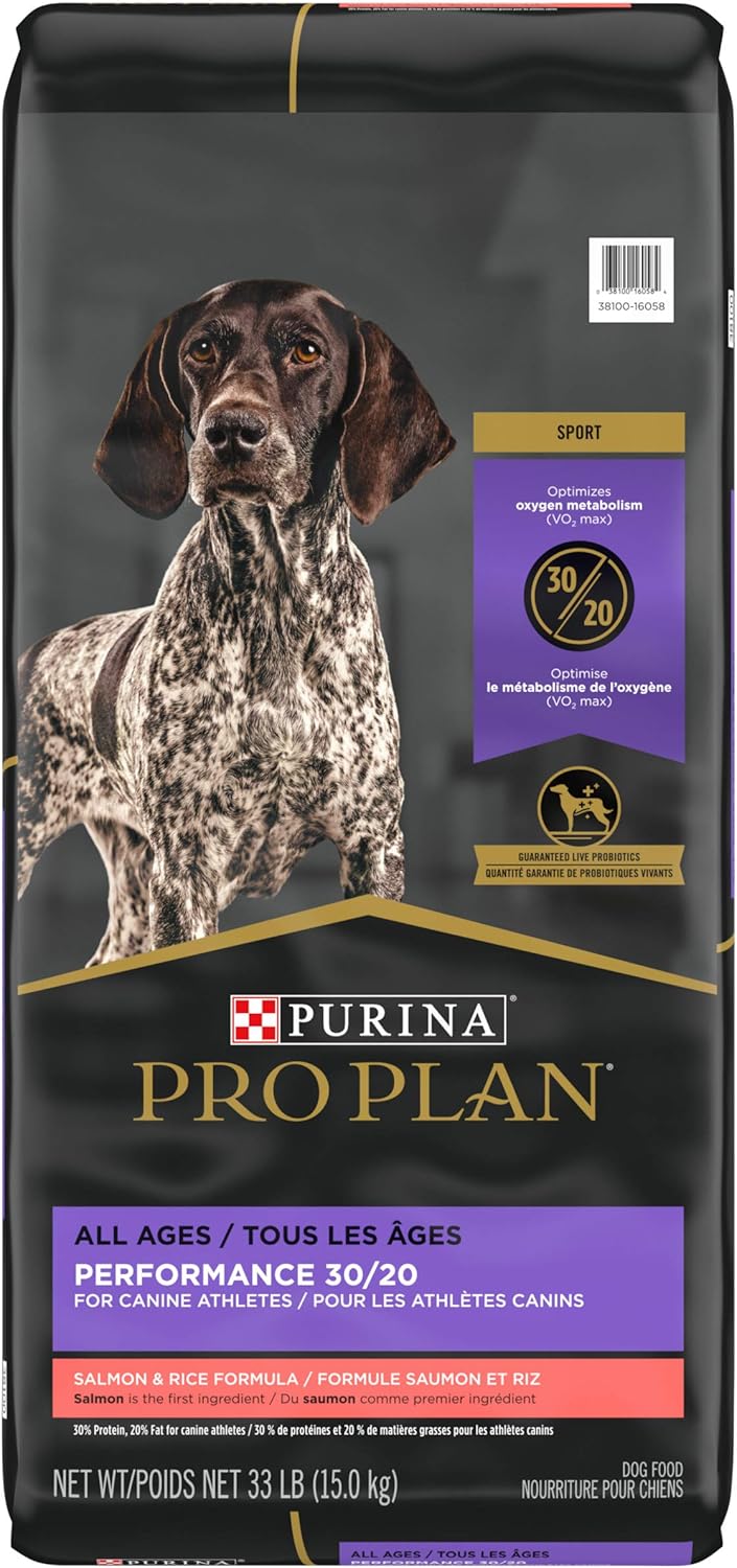 pro plan active dog food