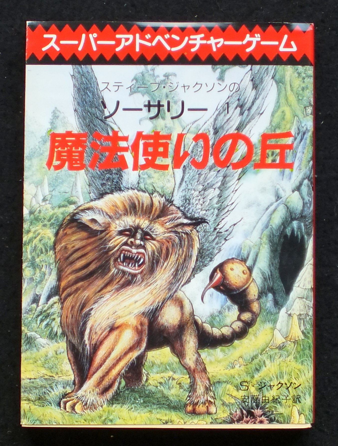 魔法使いの丘 ソーサリー 1 スティーブ ジャクソン 安藤 由紀子 S ジャクソン 本 通販 Amazon