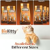 BioKitty Clumping Cat Litter 10L Bentonite Natural Odour Control view 6