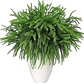 Consevisen Norfolk Pine Stems, 24 Inch Realistic Touch Artificial Pine Branches, 9-Branch Full Faux Christmas Greenery Picks for Vases Cedar Wreaths Garland Indoor Outdoor Christmas Decoration, 6Pcs