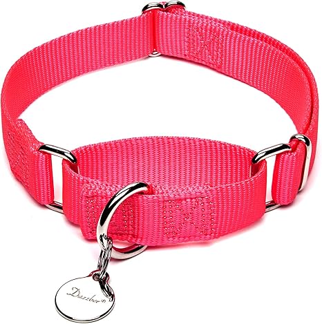Dazzber Martingale Collier De Chien Collier En Nylon Durable Avec D Ring En Metal Adapte Pour Les Grands Moyens Petits Chiens Amazon Fr Animalerie