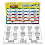 ALLECIN 21 Values 250V Fast Slow Blow Ceramic Fuses