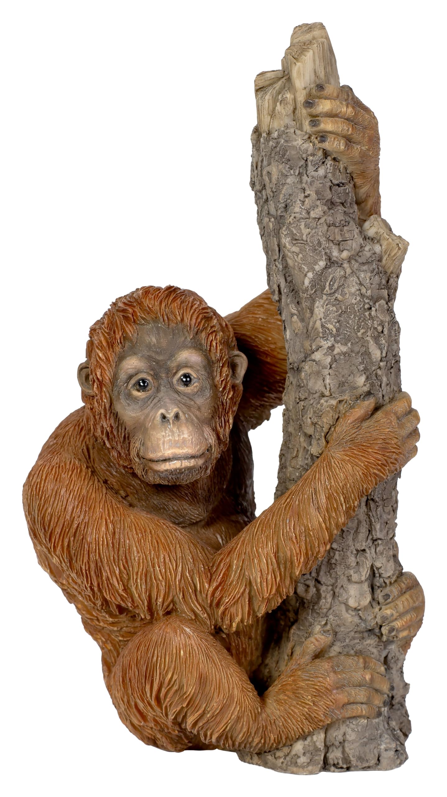 Vivid Arts - Climbing Baby Orangutan Ornament - XRL-ORN2-F
