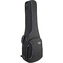 Amazon.com: Reunion Blues Continental Voyager LP style Guitar Case 