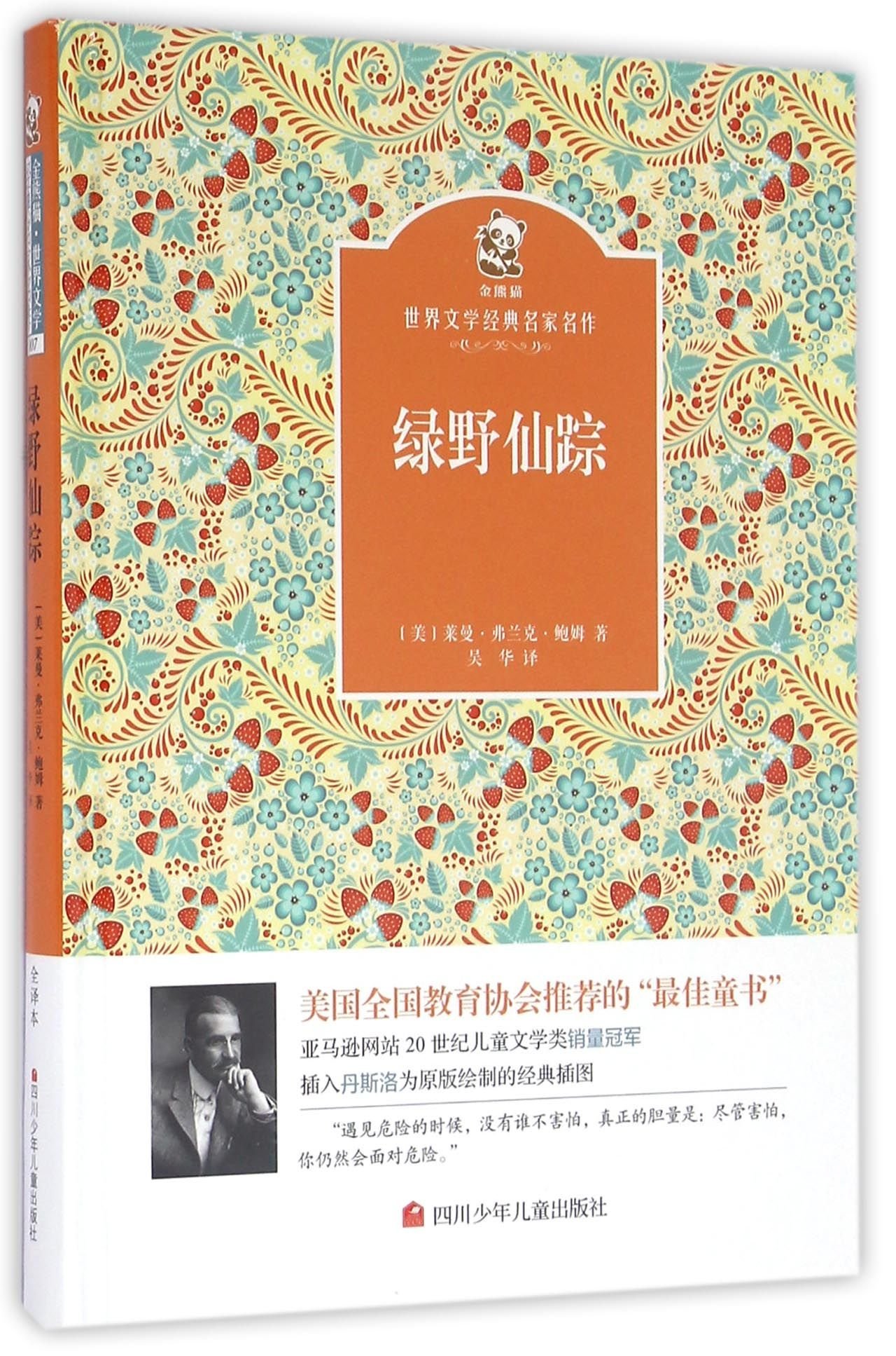 The Wonderful Wizard Of Oz Chinese Edition Lyman Frank Baum 9787536564169 Amazon Com Books