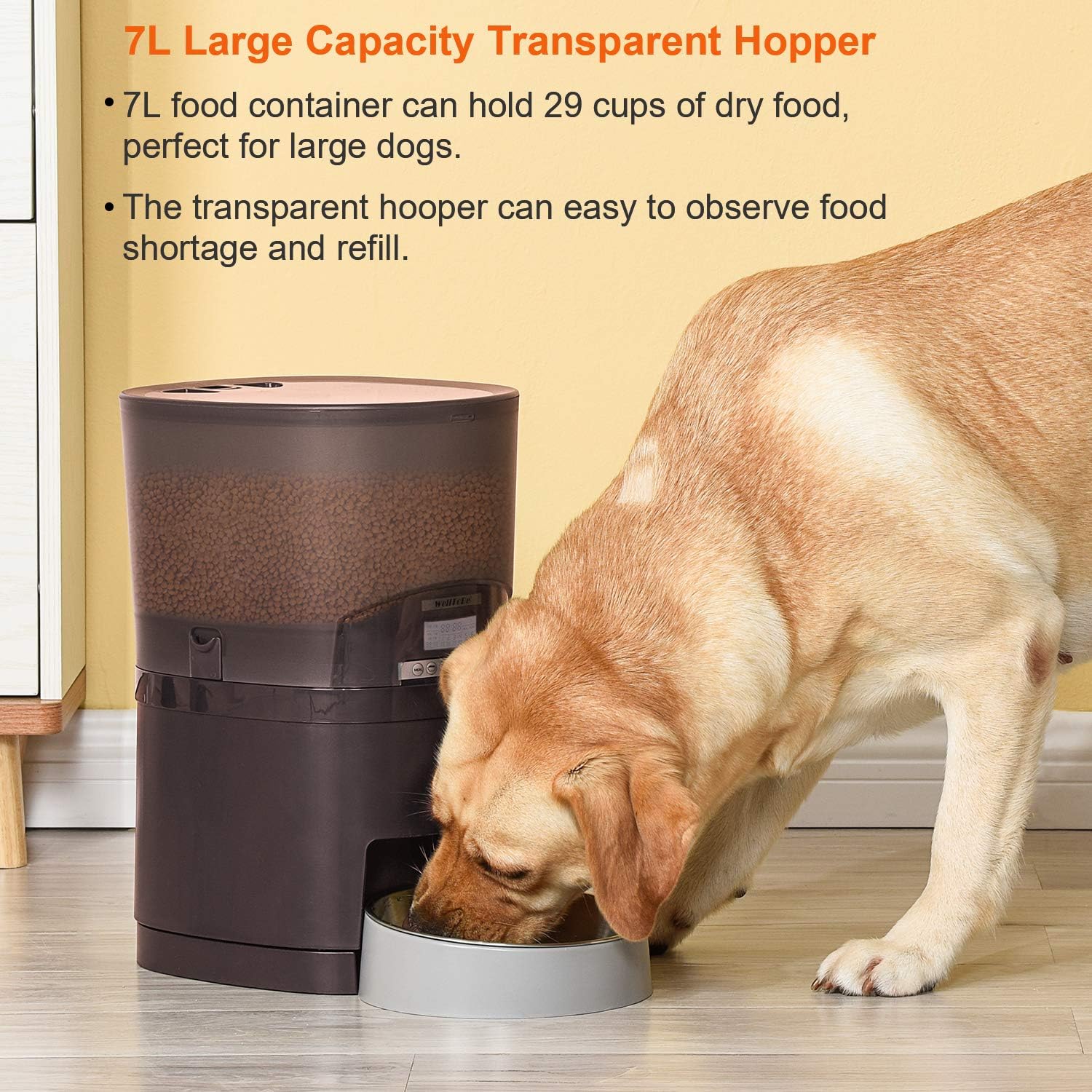 Kitchen & Dining : WellToBe Automatic Cat Feeder, 7L Pet Feeder Transnsparent Food Dispenser for Dogs and Cats, Programmable Timer for up to 6 Meals per Day, 1-48 Portion Control, 10s Voice Recorder : 
