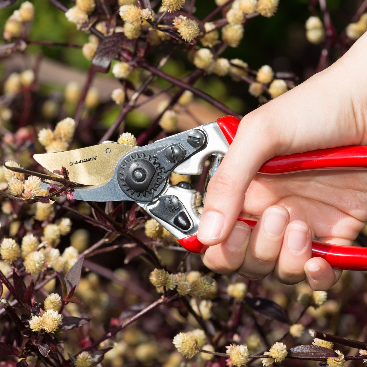 PrecisionPRO Titanium Pruning Shears - Best Bypass Pruner Garden Shears,Tree Trimmer - Ideal Shrub Plant Scissors & Rose Cutter Razor Sharp Hand Secateurs Ergonomic Gardening Tool for Effortless Cuts
