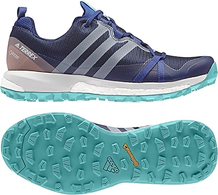 adidas terrex agravic gtx w