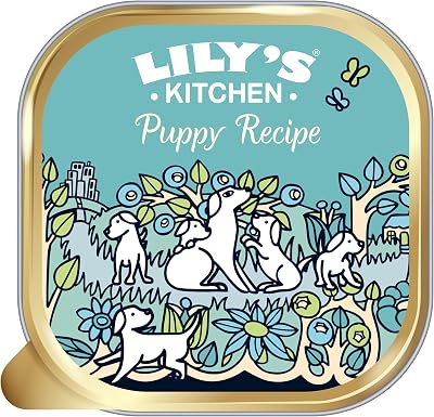 Lily's Kitchen Complete Natural Adult Dog Food Wet 10 x 150g Trays