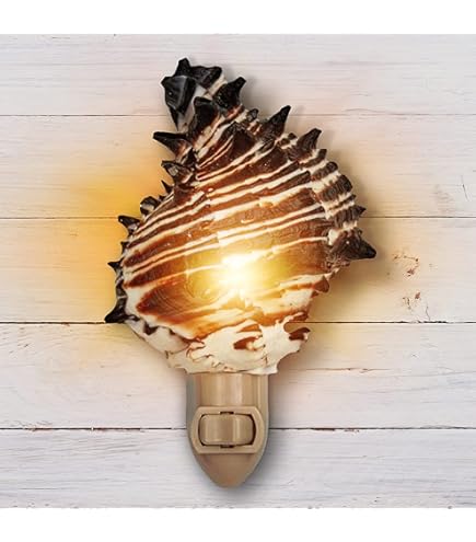 Nautical Crush Trading Real Starfish Night Light – Beach