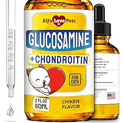 81pQXy6HE7L. AC UL250 SR250,250