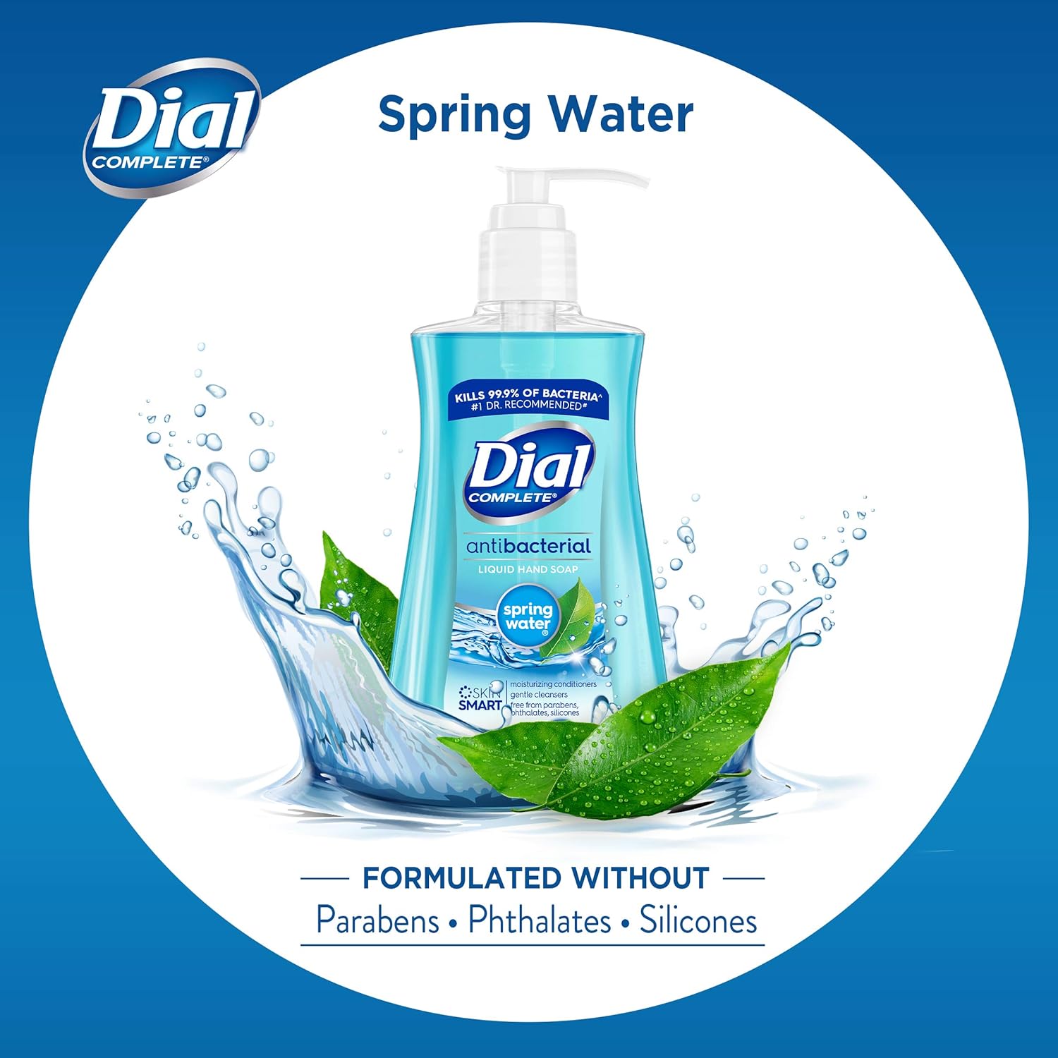 Dial Antibacterial Liquid Hand Soap, Spring Water, 7.5 Fl Oz (Pack of 1) : Hand Washes : Beauty