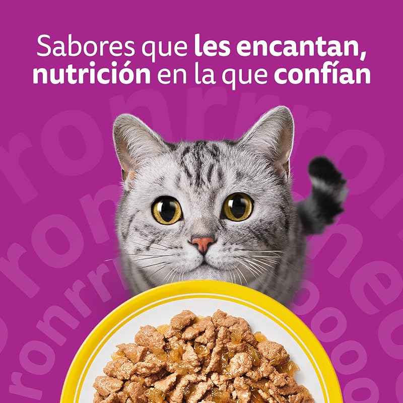 Comida Húmeda para Gatos Adultos Selección Aves en Gelatina (13x 4 bolsitas x85g)