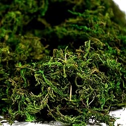 BYHER Artificial Moss Fake Green Grass for
