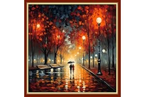 Findvoor Stamped Cross Stitch Kits for Beginners Full Range of Cross Stitching Embroidery Pattern for Kids or Adults, 11CT DIY Needlepoint Embroidery Starter Kits-Moonlight Stroll 17.7x17.7 inch