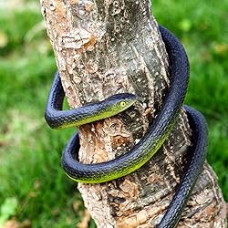 3 Pieces Rubber Snakes Realistic Large Lifelike