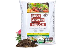 BRUT WORM FARMS Brut Organic Aspen Mulch – 10 Quarts, Natural Moisture Retainer & Root Protector – Odor-Free, Nutrient-Rich Bark Mulch for Landscaping, Garden Beds & Potted Plants