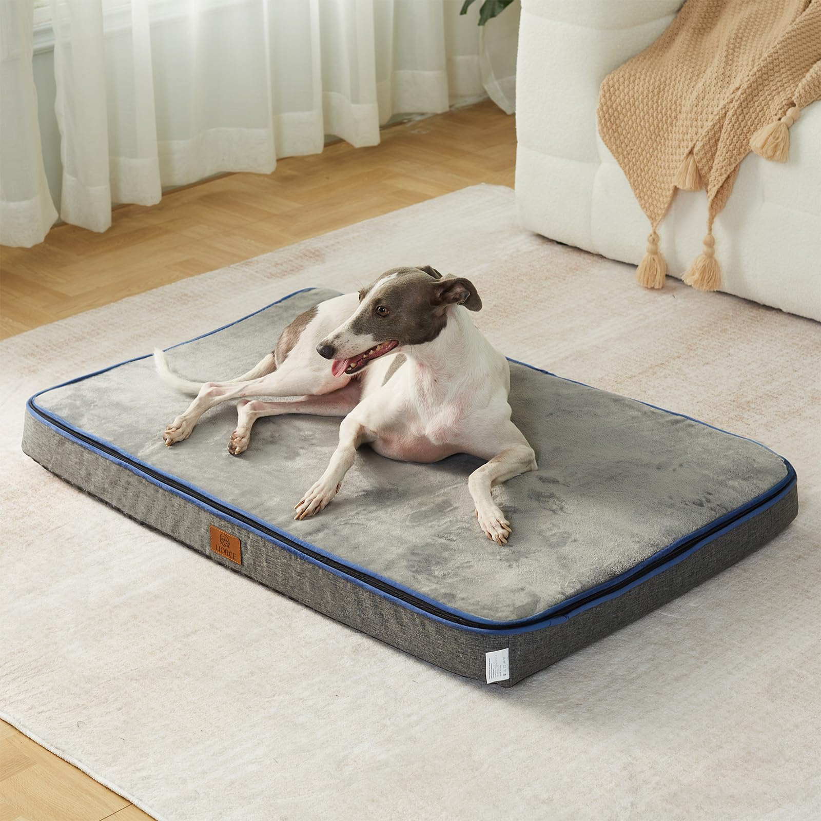 Photo 1 of LIORCE Memory Foam Large Dog Bed - 4” Thick Orthopedic Beds for Large Dogs - Waterproof Dog Bed with Removable Washable Cover & Wrap-Around Zipper - Ultimate Comfort and Easy Maintenance