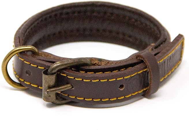 best leather collars