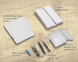 Making Insect Specimen Tools Kit, Insect