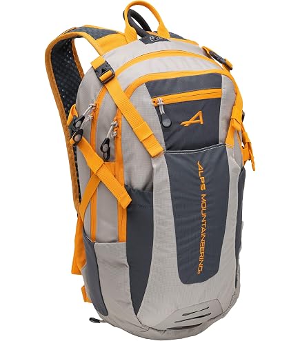 Mochila Baja Day De ALPS Mountaineering - 20L, Unisex, Con Sistema De Ventilación, Para Senderismo Y Uso Diario