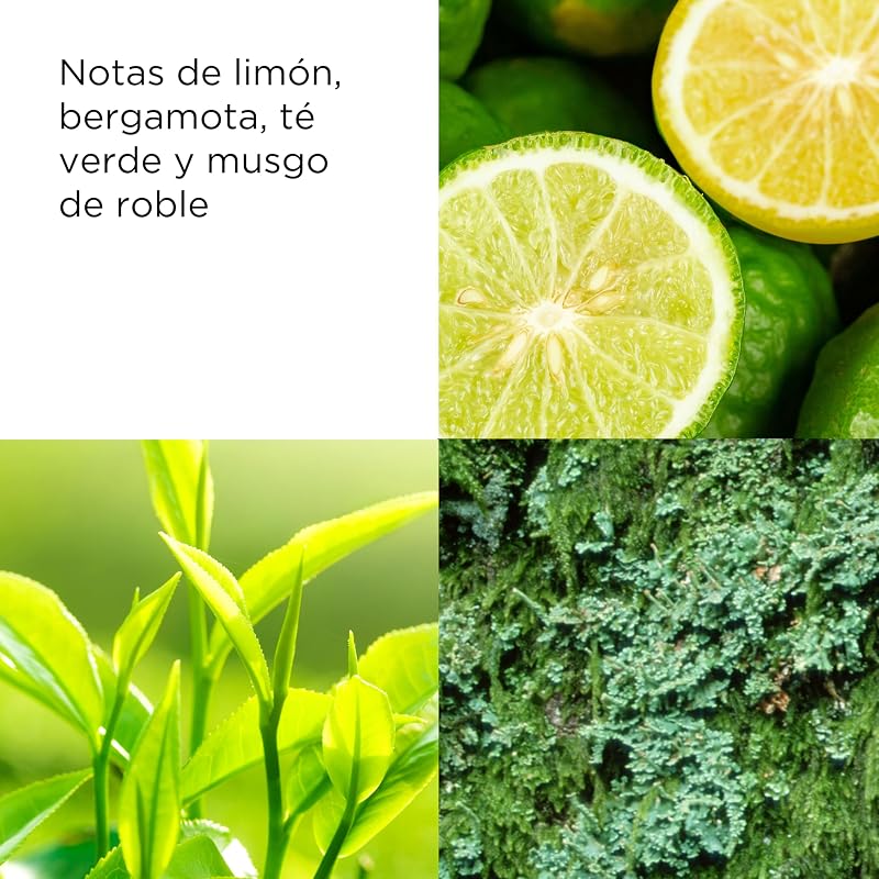 Elizabeth arden - chá verde, loção corporal refrescante, com fragrância de extrato de chá verde, restaura e hidrata, energiza os sentidos, pele sedosa e macia - 500 ml