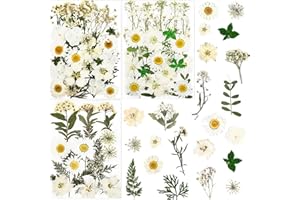 LUCISKY 86Pcs White Pressed Dried Flowers Real Natural Leave for DIY Resin Molds Candle Jewelry Nail Crafts Gifts