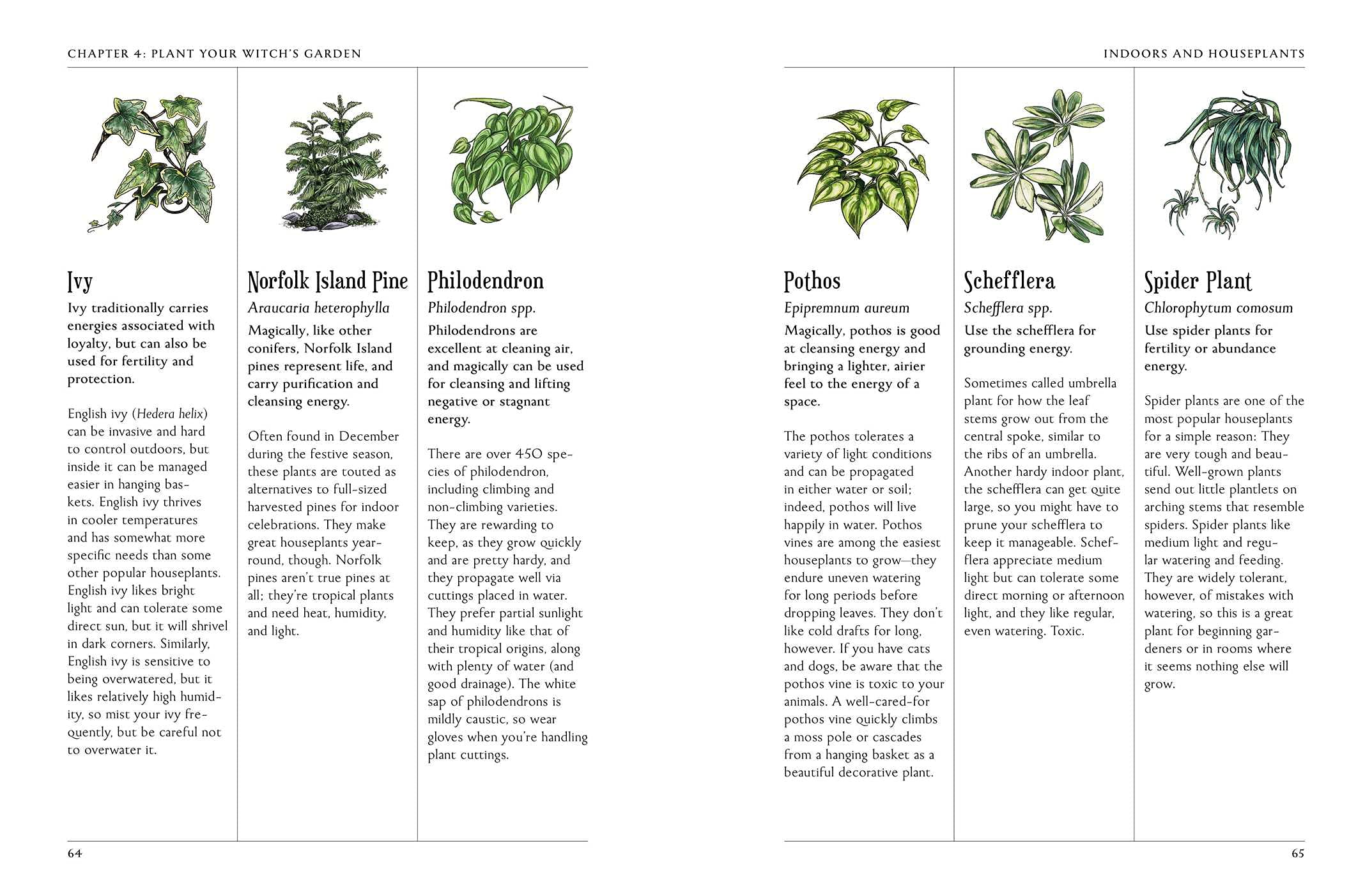 The Green Witch's Garden: Your Complete Guide to Creating and Cultivating a Magical Garden Space (Green Witch Witchcraft Series)