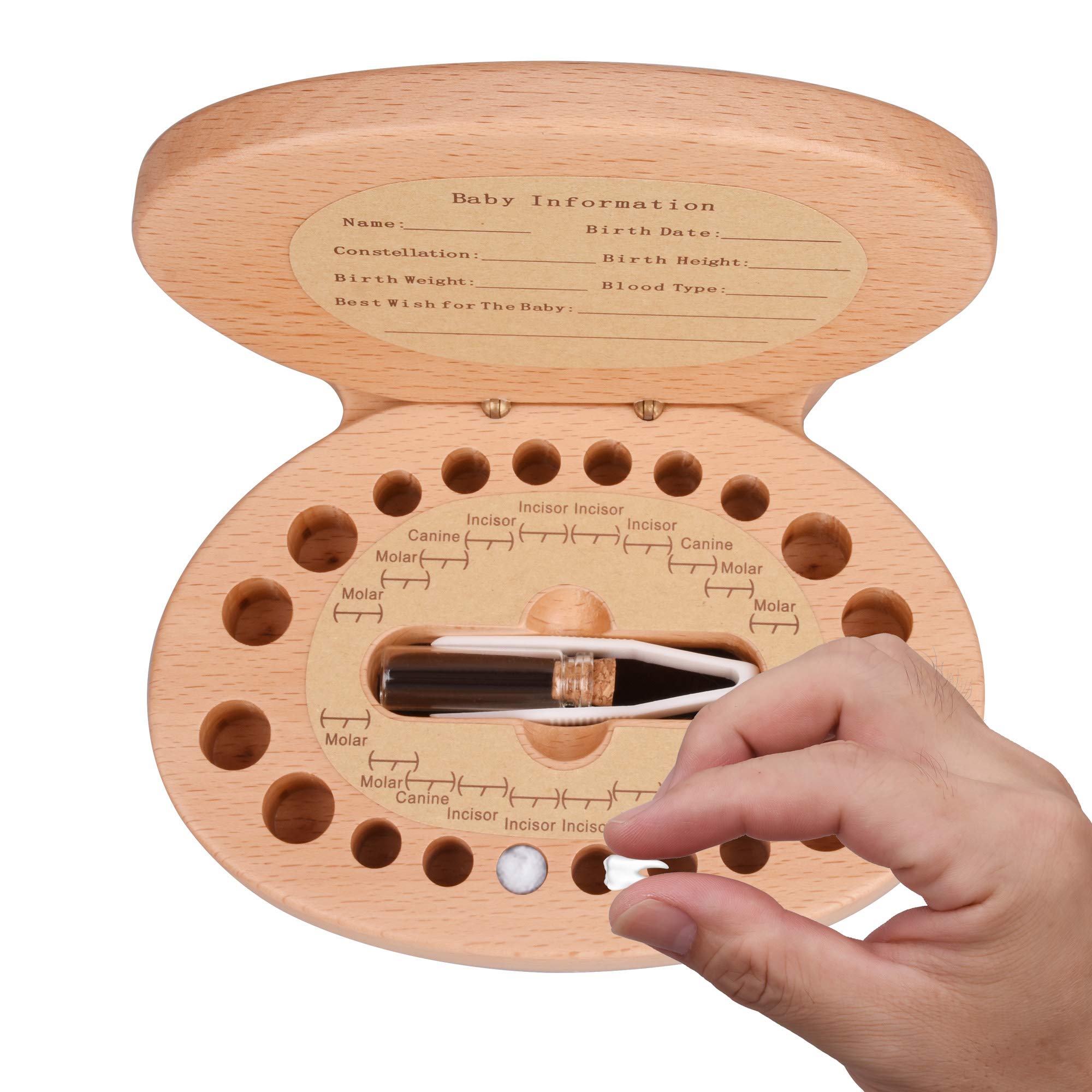 AhfuLife Baby Tooth Keepsake Fairy Box Holder with Lanugo Bottle, Wooden Bunny Rabbit Shape Keepsake Box for First Lost Teeth, Cute Tooth Storage Holder, Baby Shower Gifts for Newborn, Boy & Girl