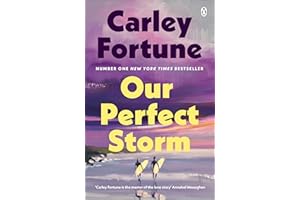 Our Perfect Storm: An emotional sweeping new love story from the international bestseller and queen of summer romance