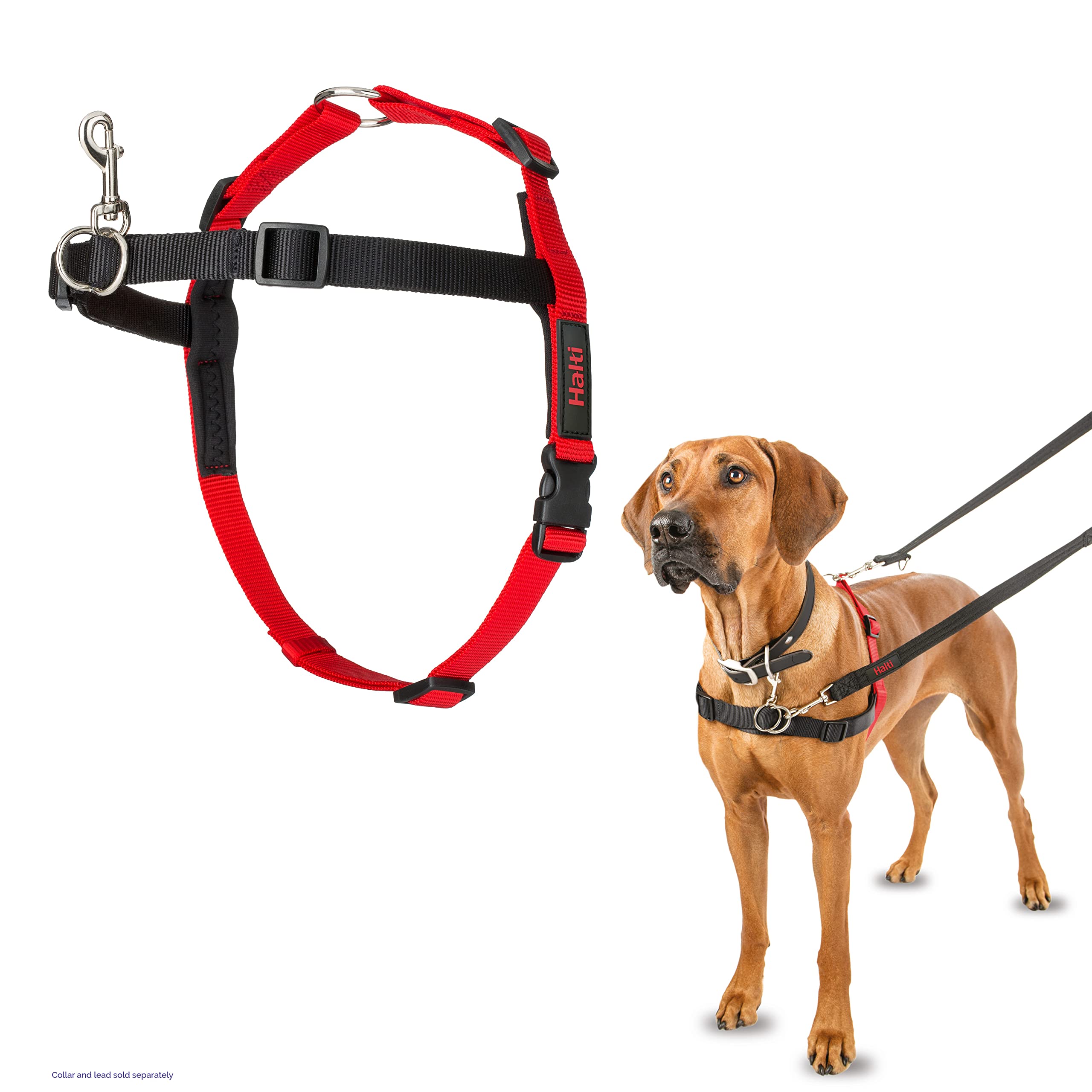 Halti Front Control Harness, Size Large, Bestselling Professional Dog Harness to Stop Pulling on the Lead, Easy to Use, Anti-Pull Training Aid, Front Leading No Pull Harness for Large Dogs