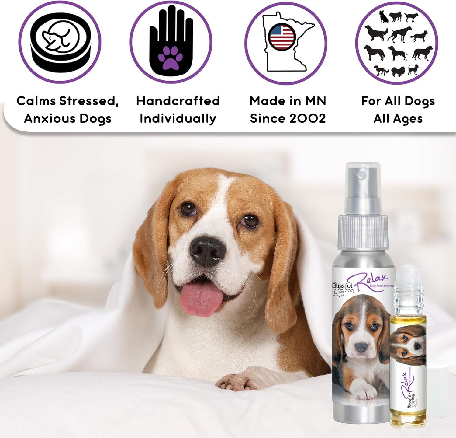 beagle separation anxiety