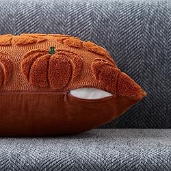 DFXSZ Fall Pillow Covers 18x18 Set of 2 Fall