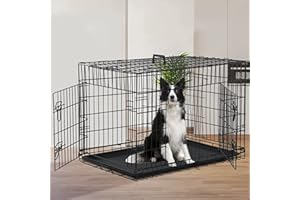 RUESLEAG 48 Inch Dog Crate Extra Large Dog Cage for Large Dogs Folding Mental Wire Dog Kennel Outdoor and Indoor with Double-Door Divider Panel Removable Tray and Handle L XL XXL