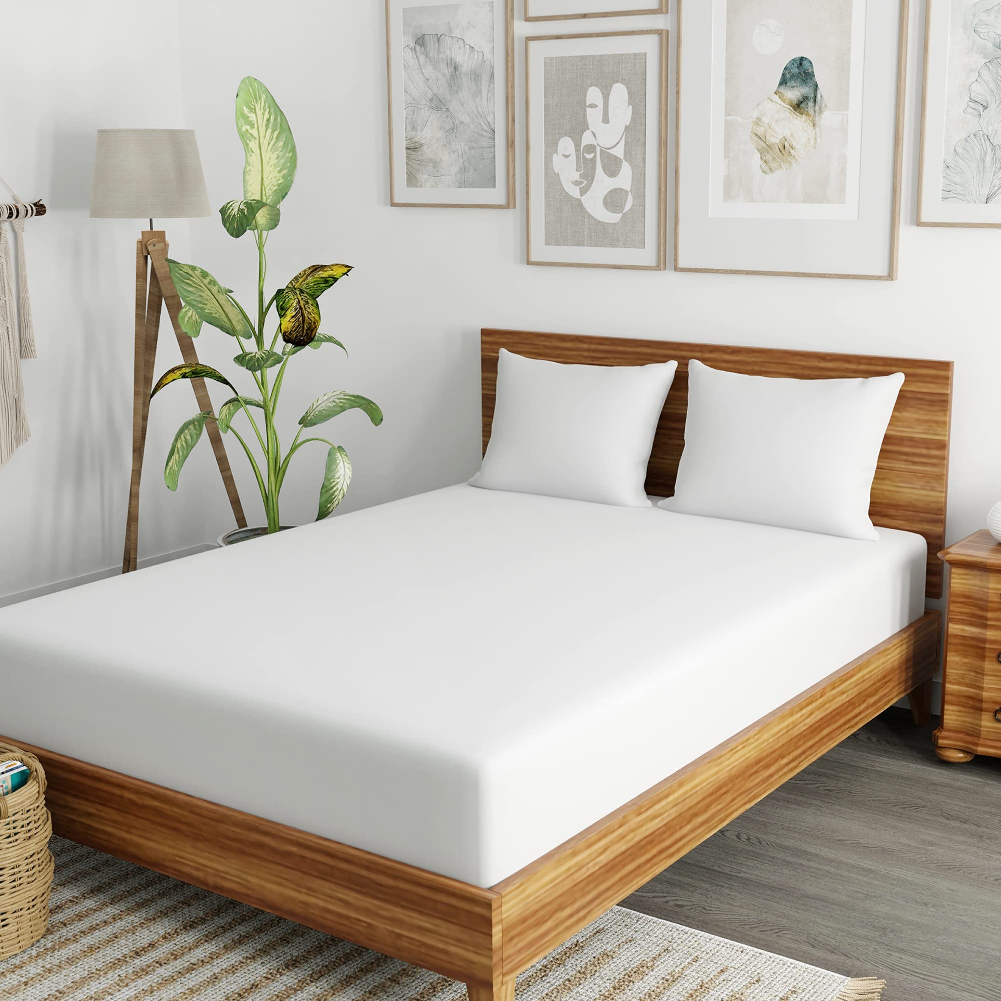 SensorPEDIC Clean Standard Bed UltraFresh Fiber Pillow 2 Pack, White