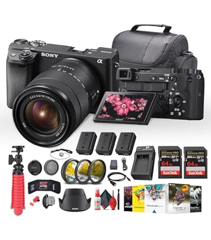 Amazon.com : Sony a6400 Mirrorless Camera with 18-135mm Lens with