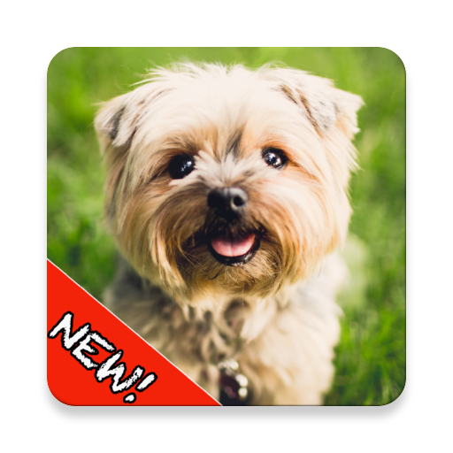 Cute Dogs Memory Matching Game
