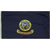 Annin Flagmakers Idaho State Flag USA-Made to Official State Design Specifications, 3 x 5 Feet (Model 141360)
