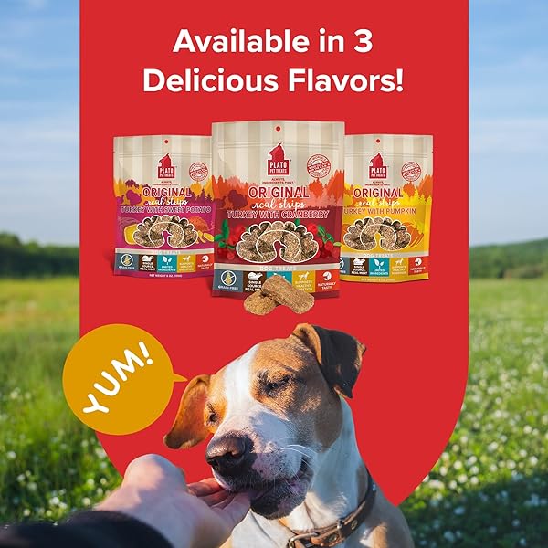 PLATO TURKEY REAL STRIPS NATURAL DOG TREATS – REAL MEAT – AIR DRIED – MADE IN THE USA – TURKEY & CRANBERRY, 3 OUNCES